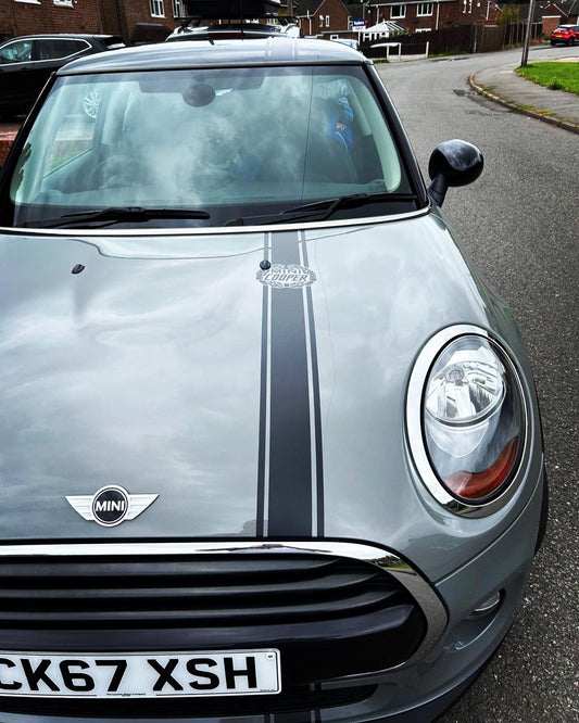 Mini Cooper Racing Stripes
