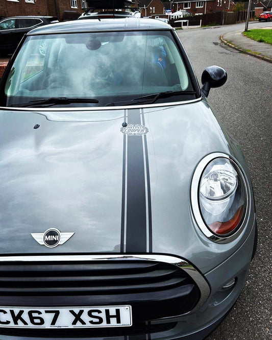18A916A9-51DF-4ADD-93F9-D0DEA9539DBF - R&E Wraps and Graphics LTD - Mini Cooper Racing Stripes