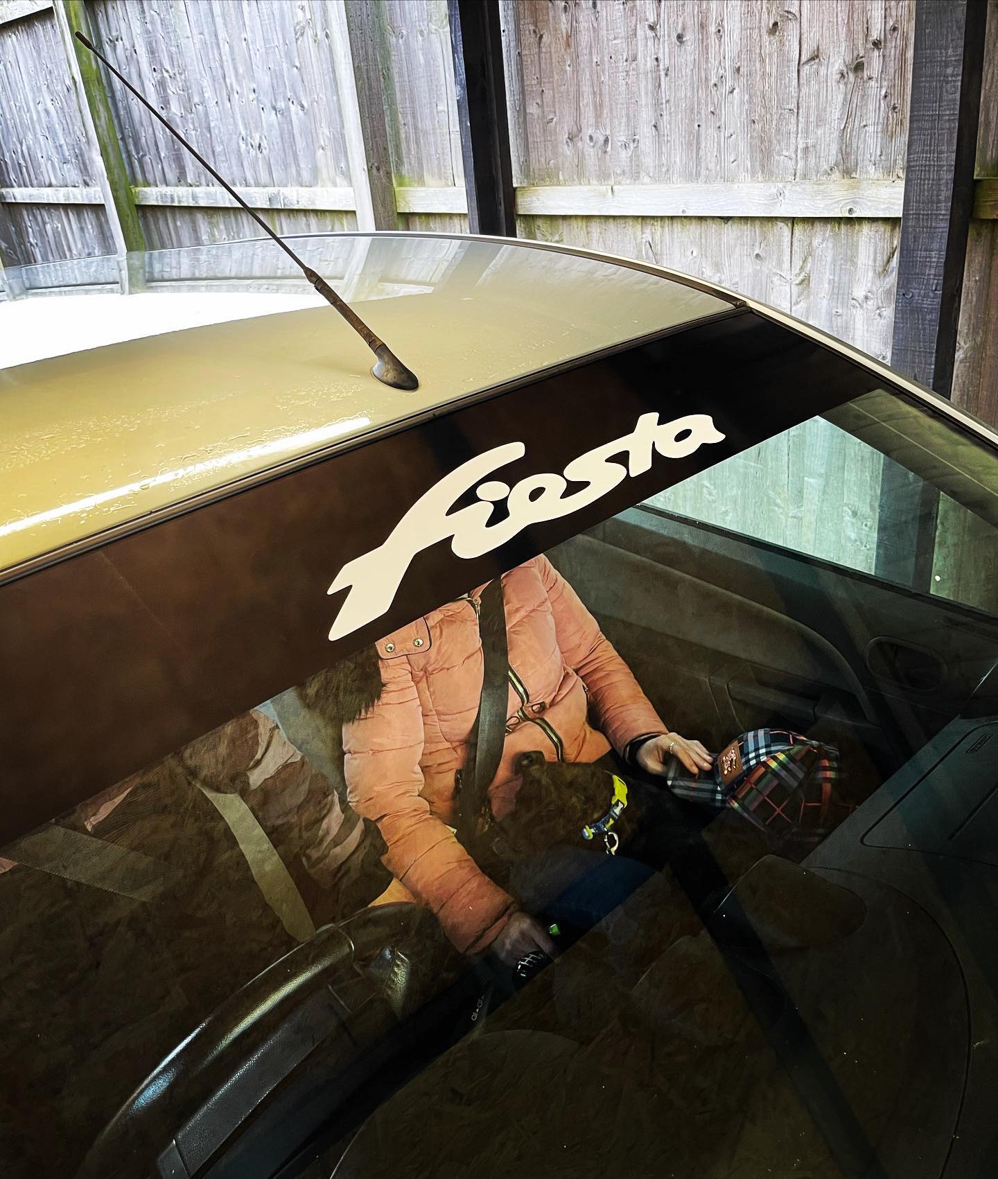 338622038_946613196352721_3339515404661182720_n - R&E Wraps and Graphics LTD - Ford Fiesta Sunstrip - fiesta sunstrip, Ford Fiesta, ford fiesta sunstrip, sunstrip, sunstrips