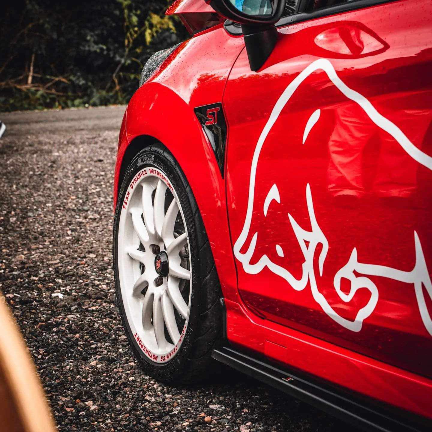 Ford Fiesta Redbull WRC Graphic Kit