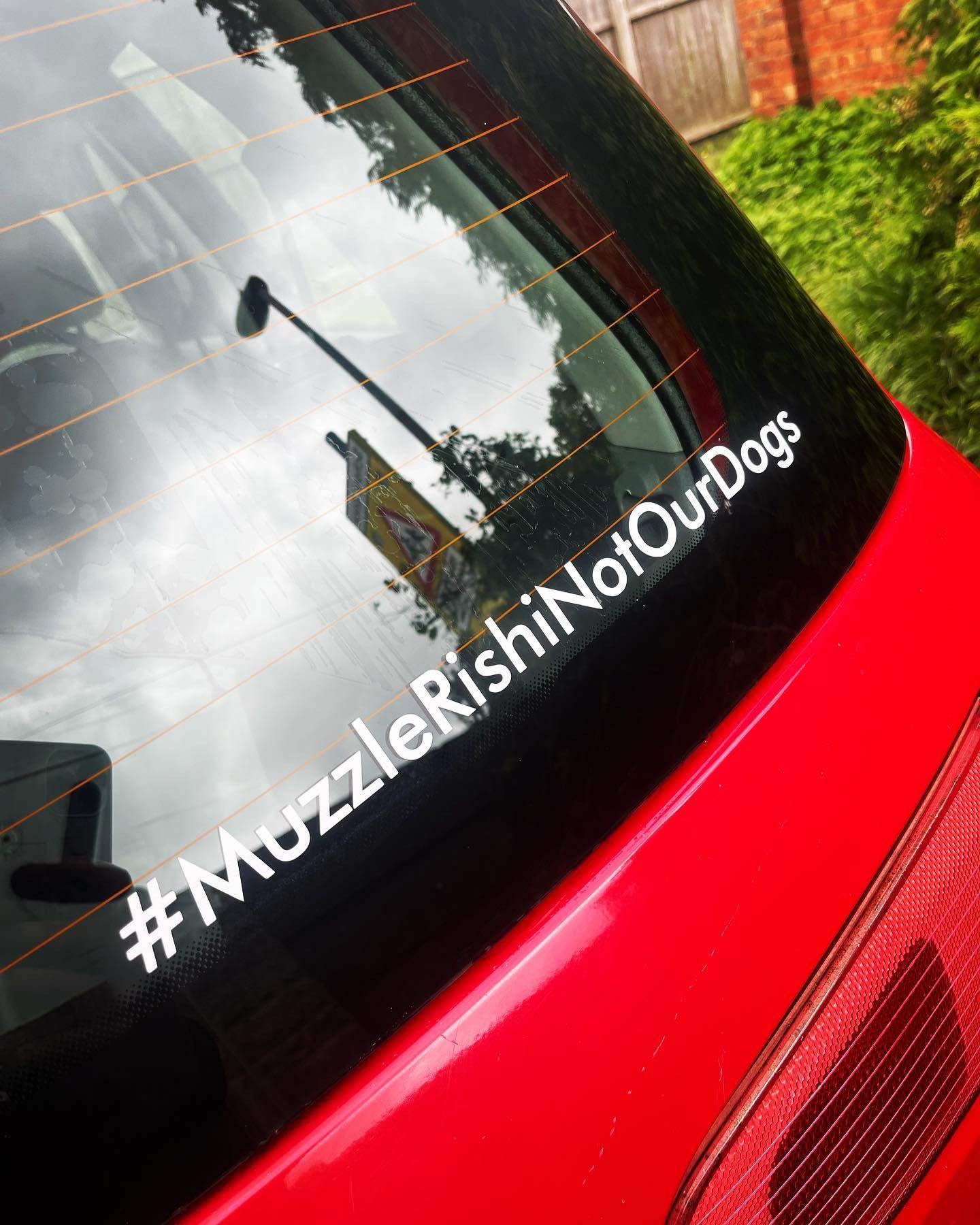 383294203_621205959934957_4709864134255942431_n - R&E Wraps and Graphics LTD - #Muzzle Rishi Not Our Dogs Sticker - #They Sit For Us We Stand For Them, american bully, bully, Dogs, Muzzle Rishi Not Our Dogs, save our bullies, xl, xlbully