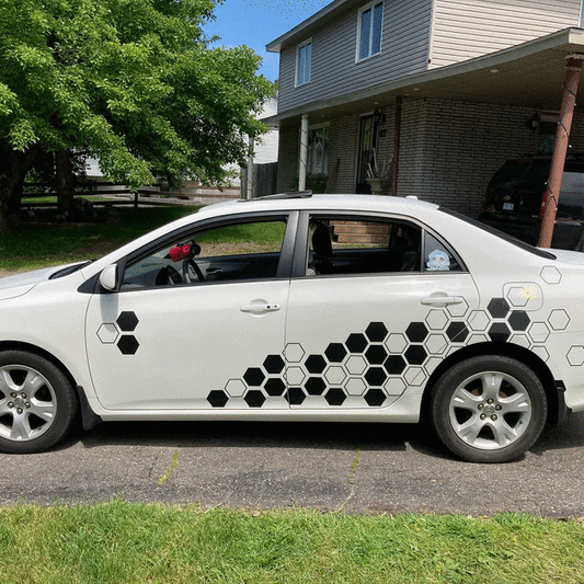 Hexagon Graphic Kit - Universal To All Vehicles