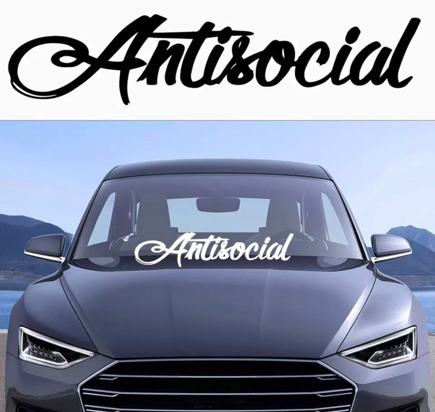 Antisocial Window Sticker