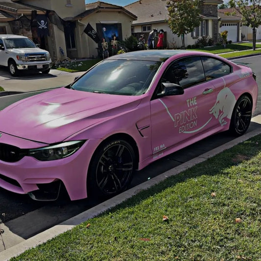 RedBull (The Pink Edition) Graphic Kit - Universal To All Vehicles
