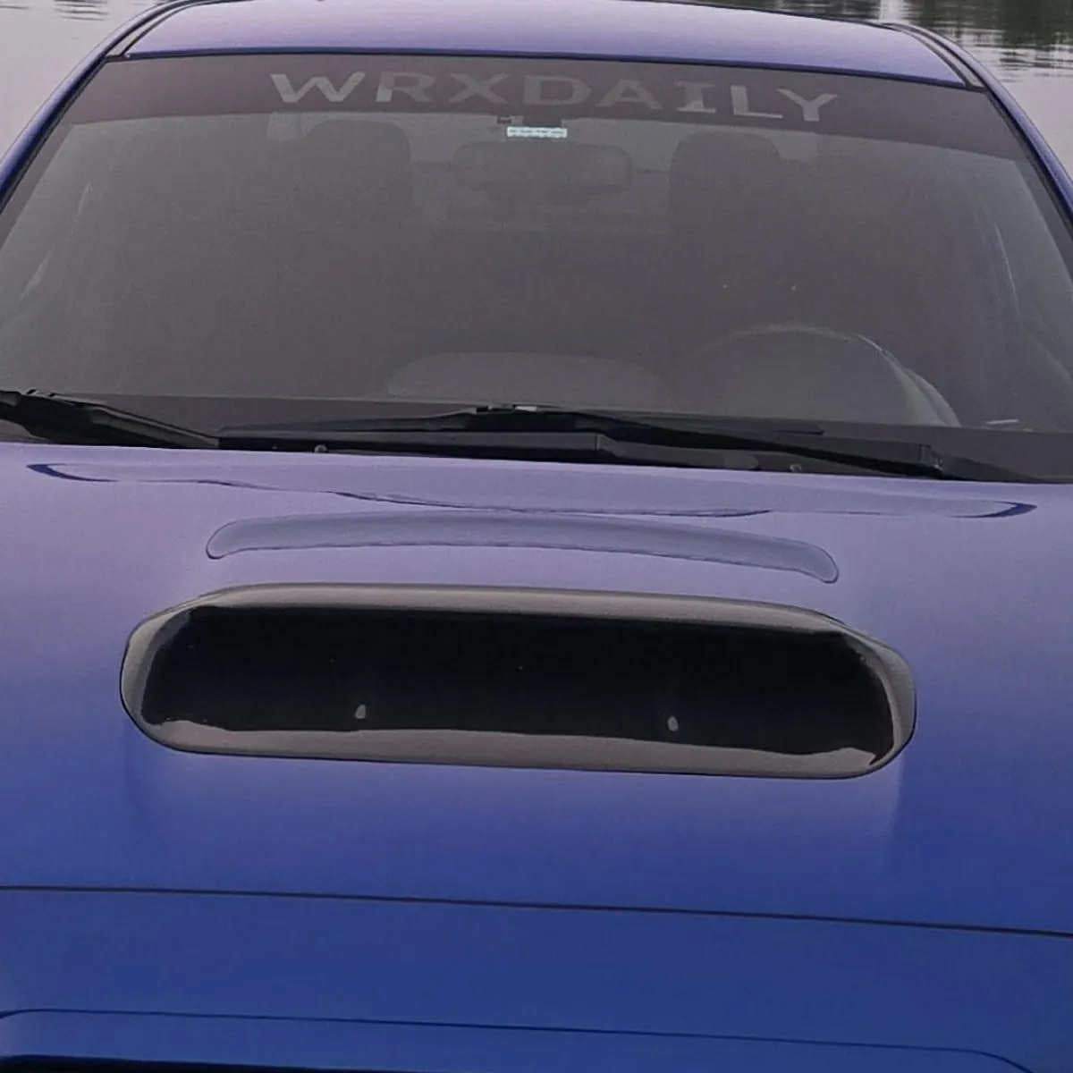 WRX Daily Cut Out Sunstrip