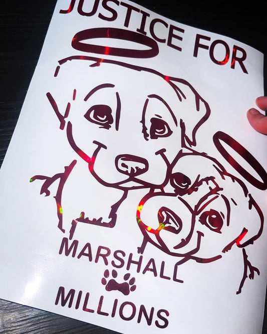 Justice For Marshall & Millions Sticker