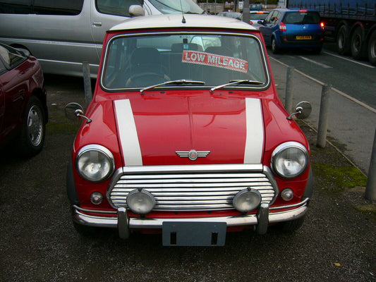 Classic Mini Bonnet Stripes
