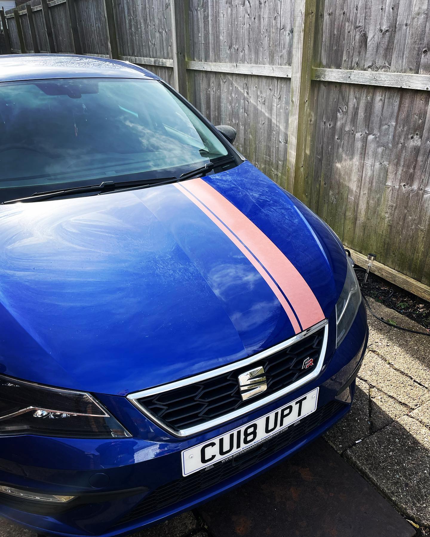 Universal Bonnet Stripes