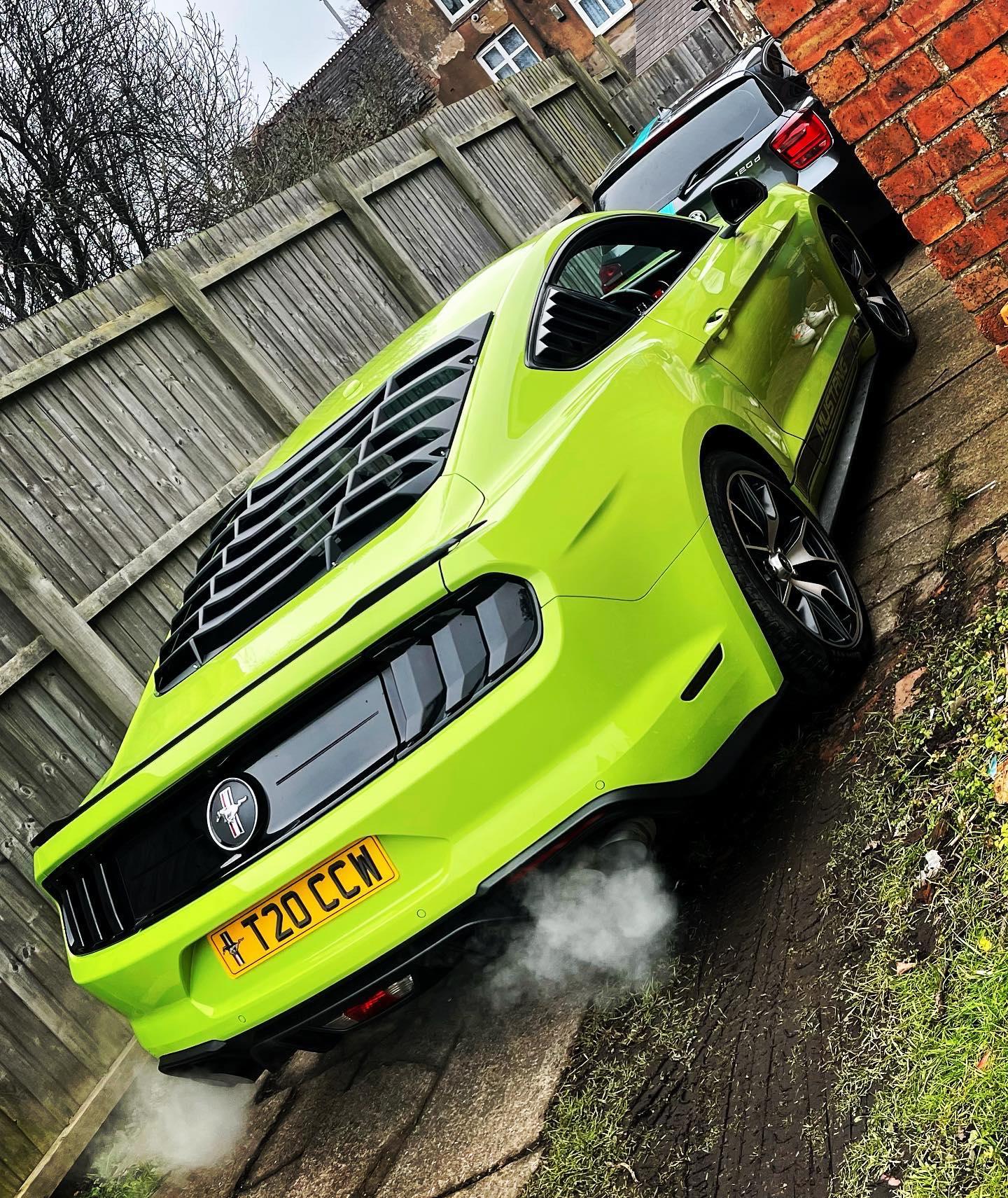 Ford Mustang Side Stripes Vinyl Decals - rewrapsandgraphics