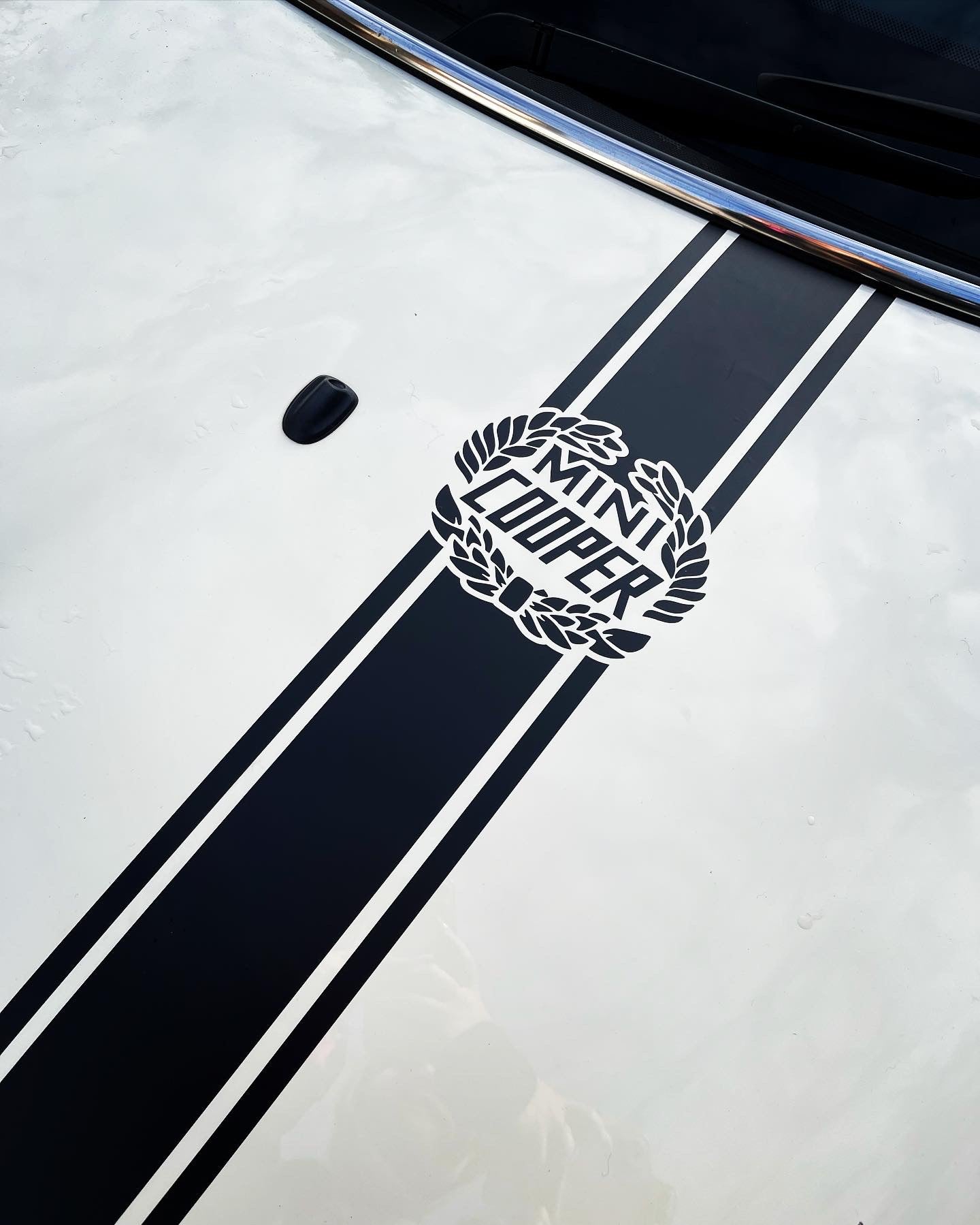 Mini Cooper Racing Stripes