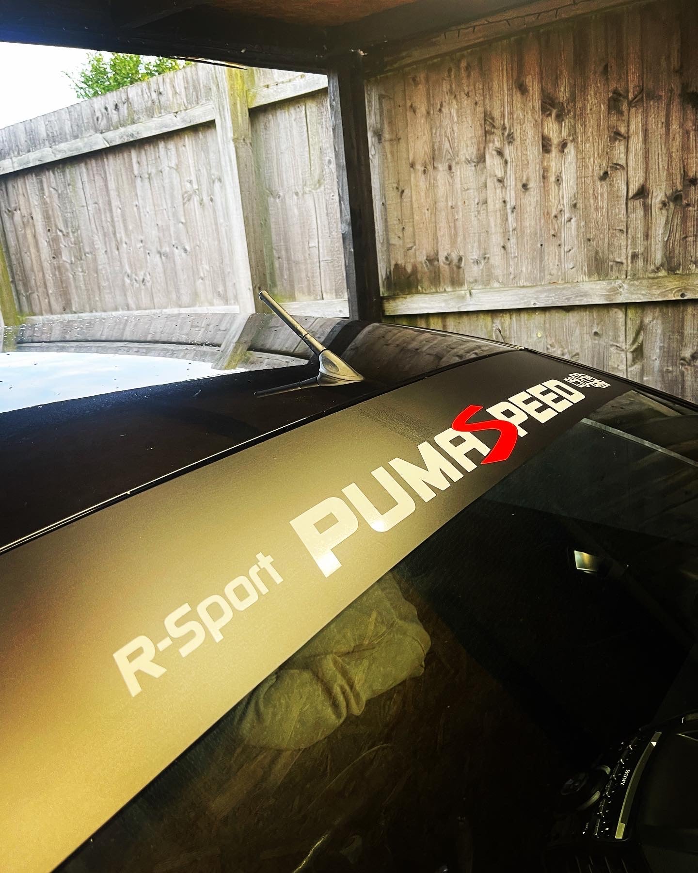 R-Sport PumaSpeed Maxed Out Sunstrip