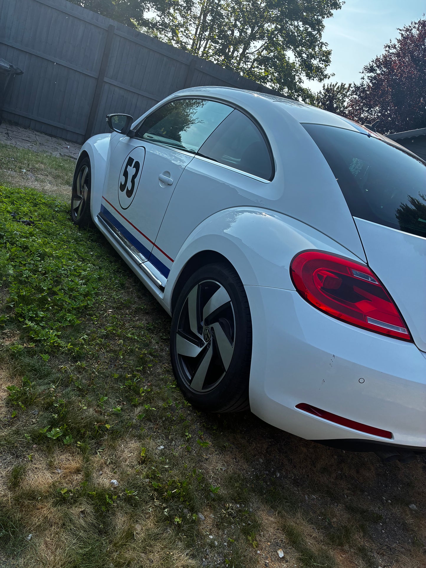 Volkswagen Beetle (1999 Onwards)Herbie Graphic Kit