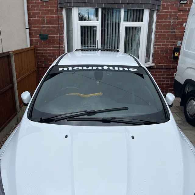 Mountune Sunstrip