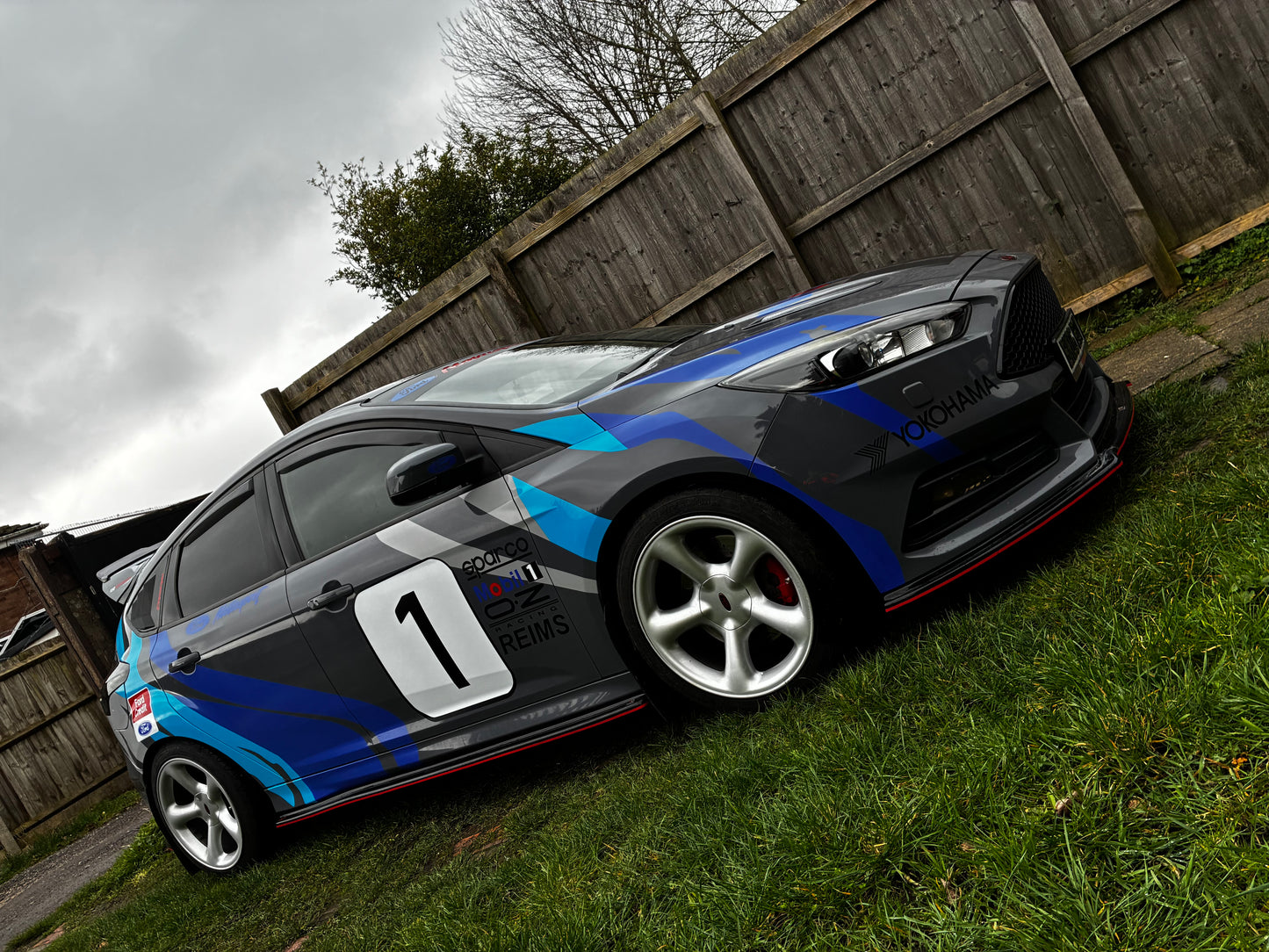 Ford Tiger Stripe Graphic Kit