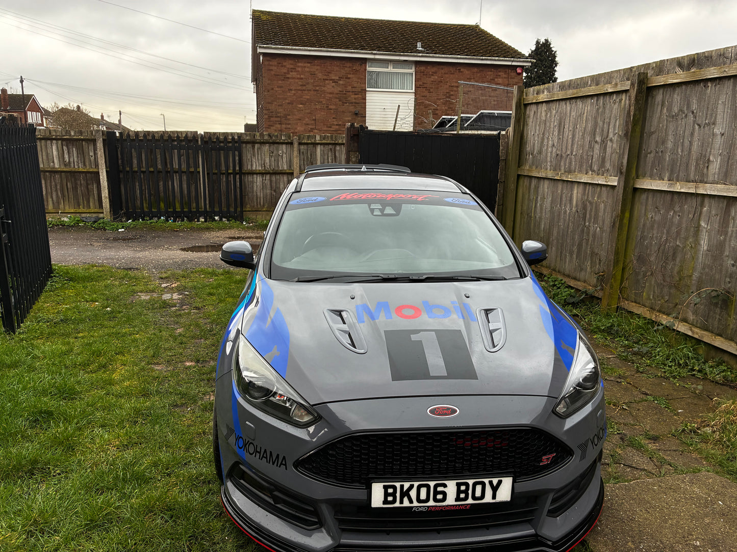 Ford Tiger Stripe Graphic Kit