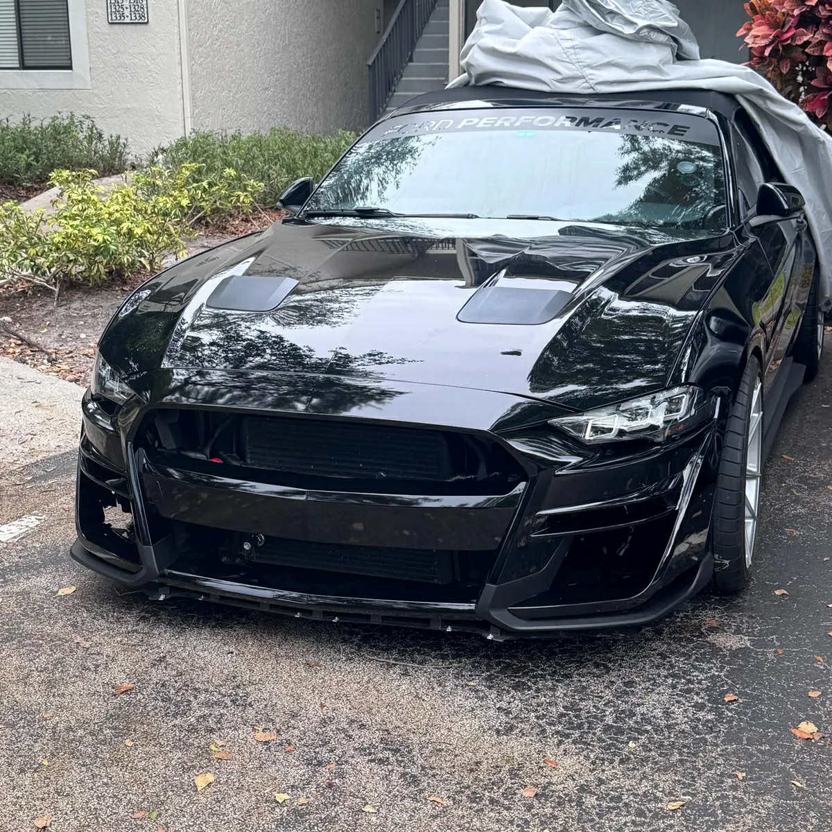 Ford performance Cut Out Sunstrip