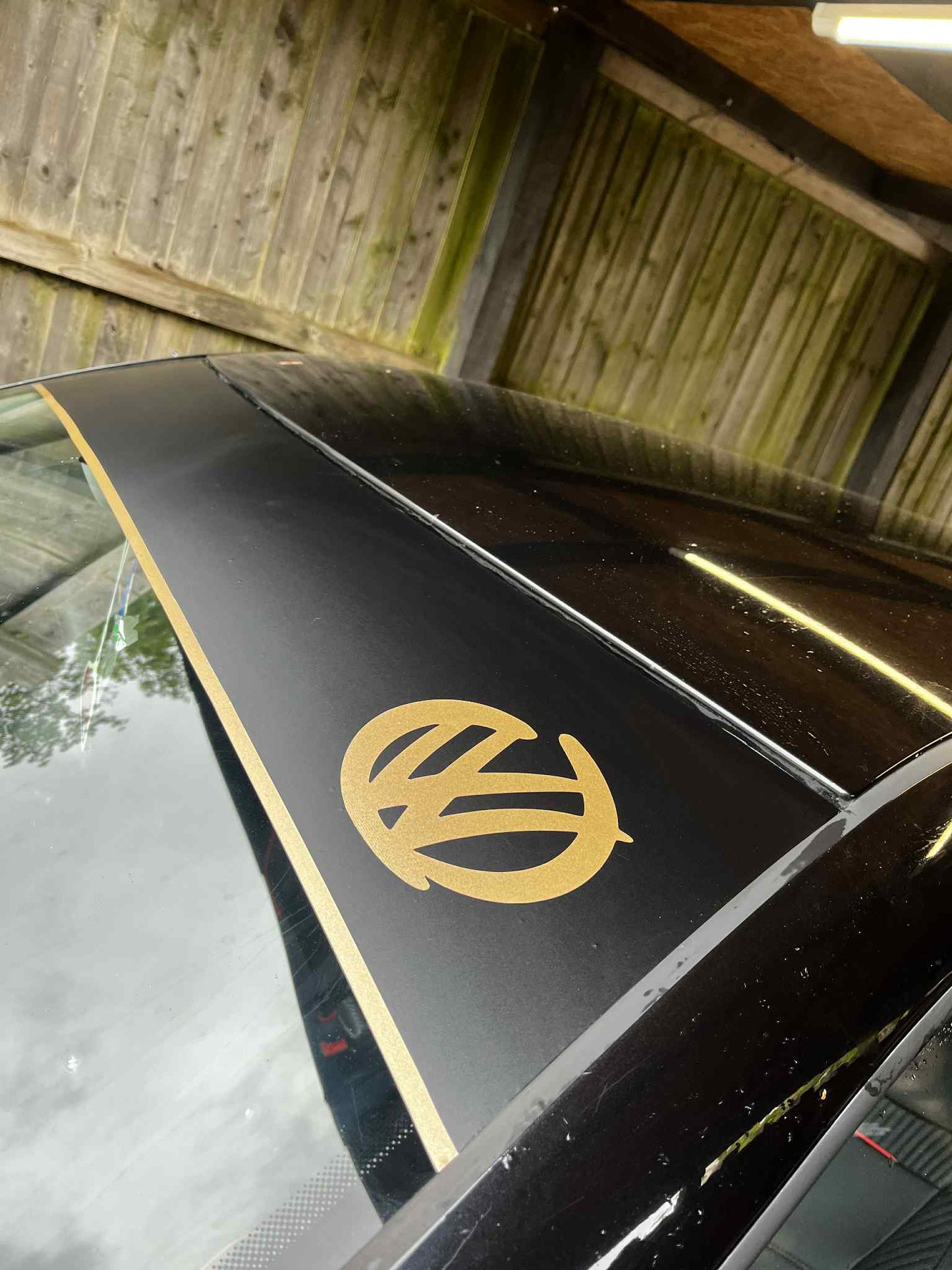 Volkswagen VW Brushed Sunstrip With Pinstripe