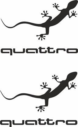 Audi Quattro Lizard Stickers - rewrapsandgraphics