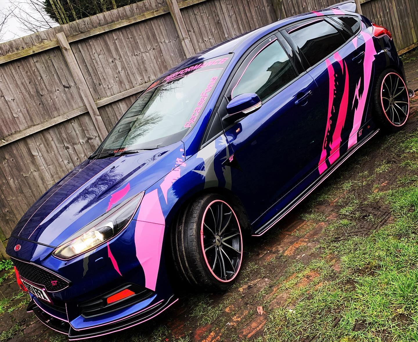 Ford Tiger Stripe Graphic Kit (Made To Fit Chosen Model)